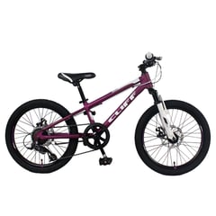 CLIFF - Bicicleta infantil Lizard 20