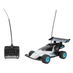 YIDAFENG - Carro a control remoto Savage Buggy