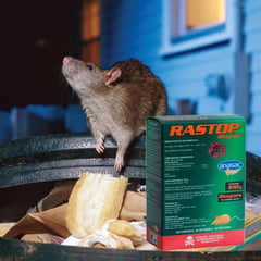 RASTOP - Raticida Bloques X 100 G