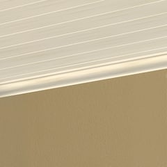 HOLZTEK - Cielo raso Pefil en U de PVC 2.90mt Color Blanco