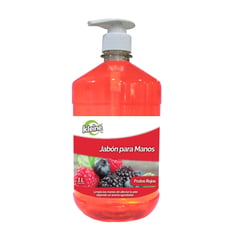 KLEINE WOLKE - Jabón Líquido Frutos Rojos X1000 Ml Kleine