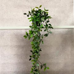 MARRES - Ficus Colgante Artificial De 45 Cm