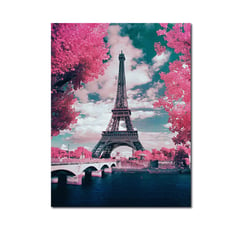 PINTALA CUADROS - Kit de Pintura: Cuadro para Pintar por Números 40x50 Paisaje Torre Eiffel