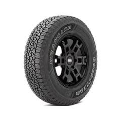 GOODYEAR - Llanta 265/65R17 Wrangler Workhorse At 112H Sl