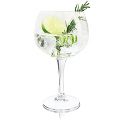 ROYAL LEERDAM - Set De 4 Copa Gin Tonic 650ml